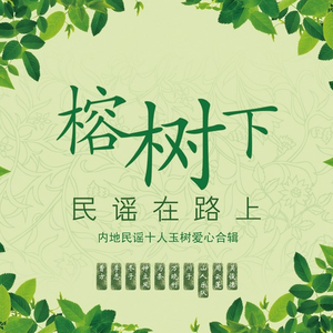 黄片无码免费看
