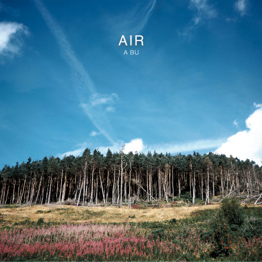 黄片无码免费看
